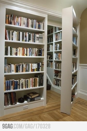 Secret doors leading to more books.....YES!!!!