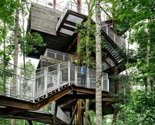 125 Foot Tall Treehouse Teaches Boy Scouts About True Sustainability