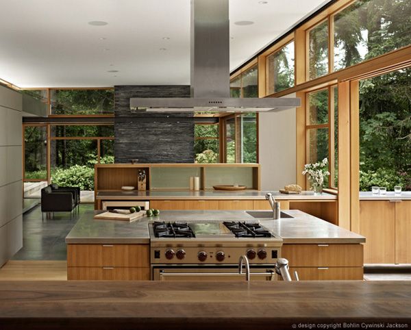 Mid-Century modern home with a nature backdrop