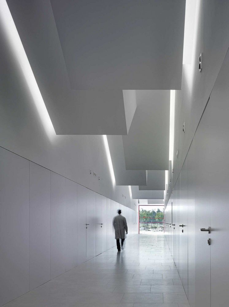 Center for Individuals with Disabilities / g.bang architecture