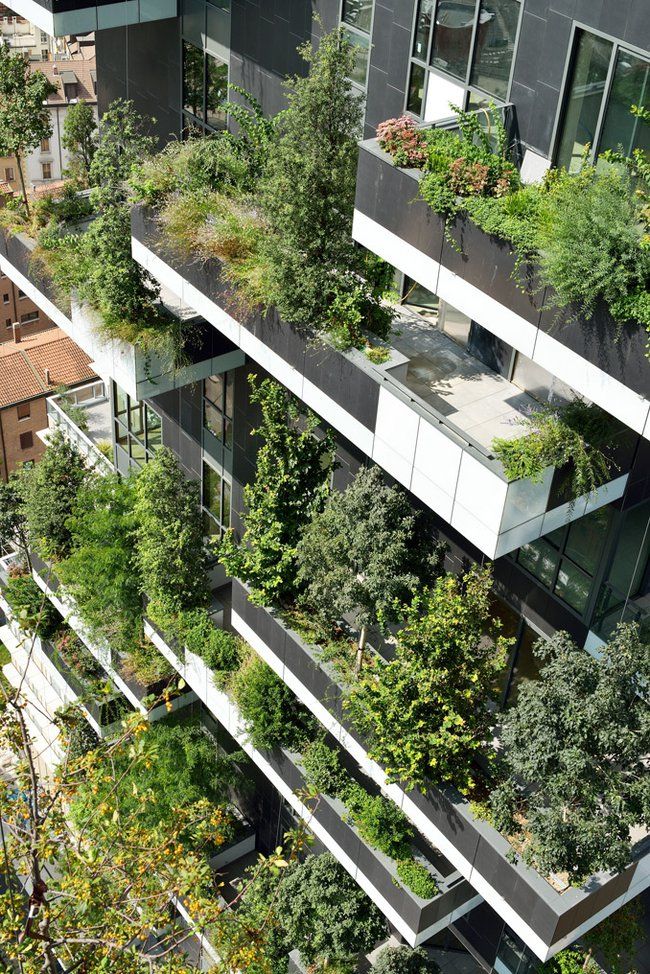 Architecture