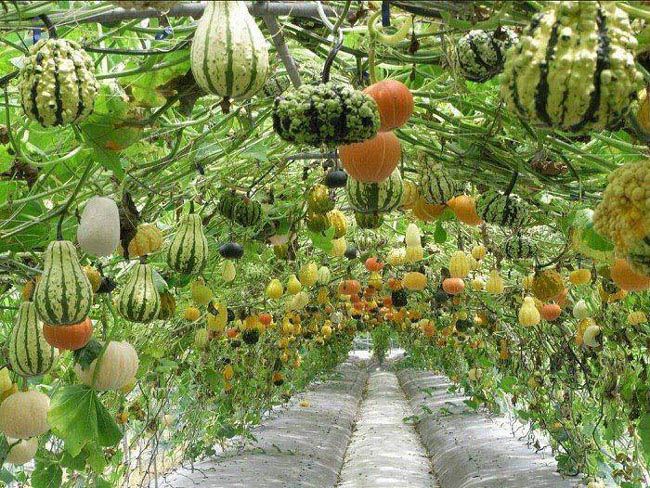 12 Living Garden Decorations & Structures to DIY! - A Piece Of Rainbow