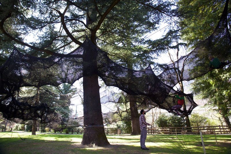 This tube-like netted structure lets you climb through the trees