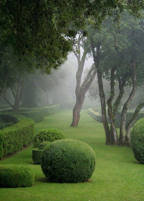 SNAKE RANCH - thehandbookauthority:  djferreira224: Gardens of...