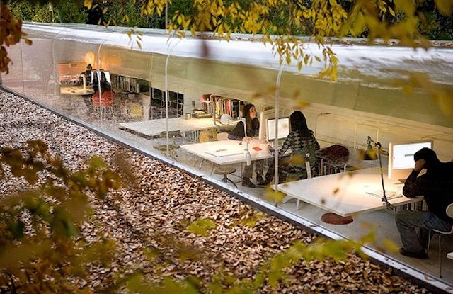 An Office In The Middle Of The Forest