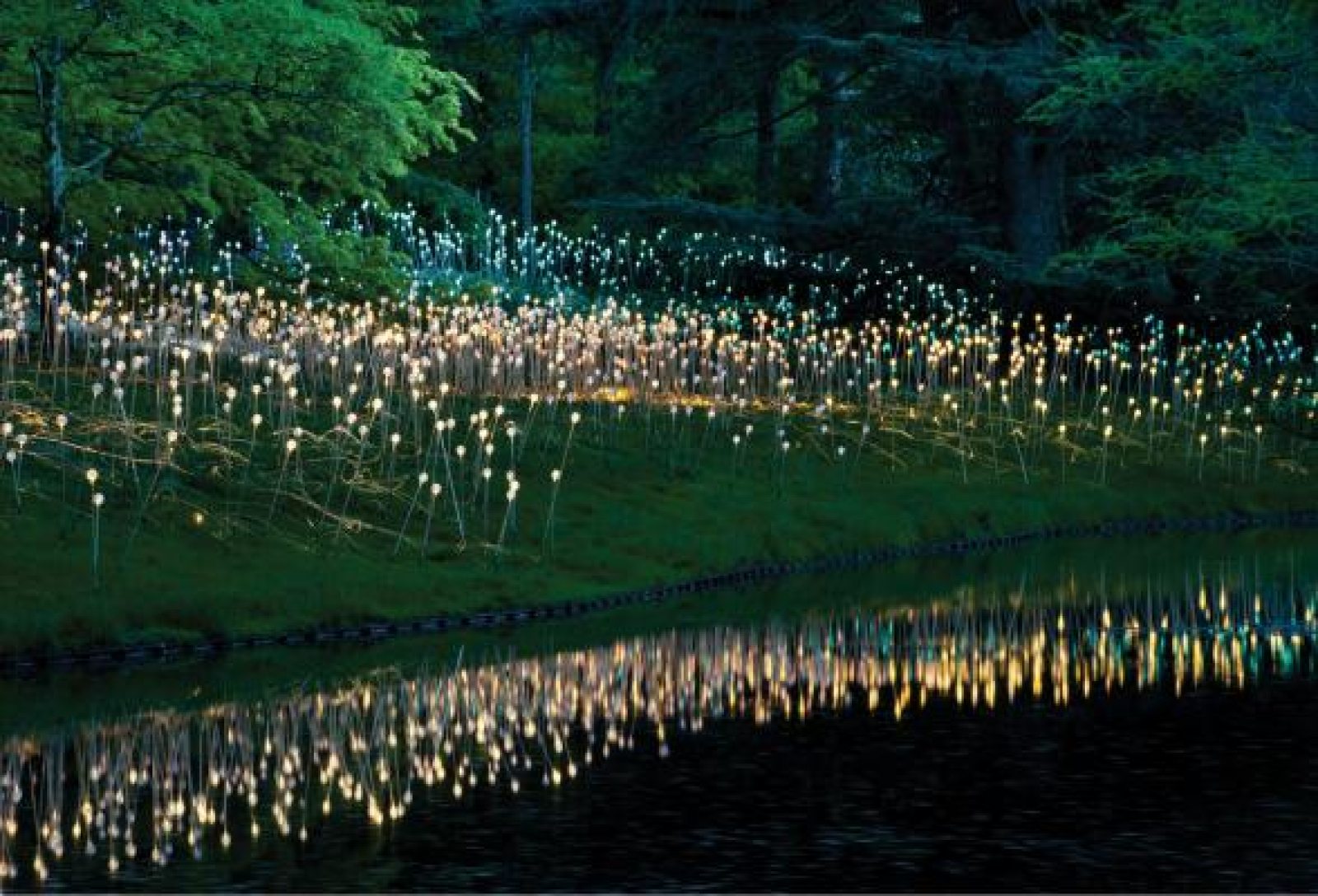 Illuminating Gardens