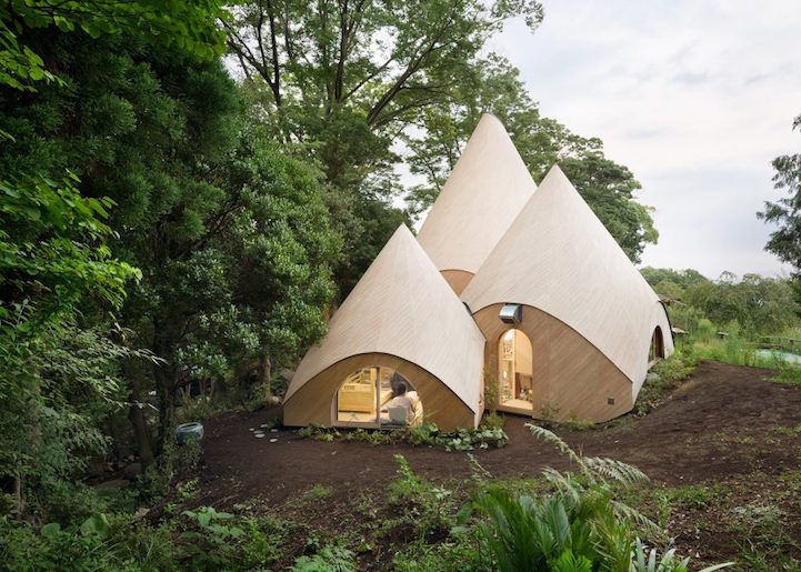 Elderly Japanese Women Live in the World's Most Enchanting Retirement Home