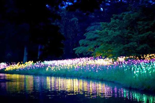 Forget dark Autumn evenings. Philadelphia lights up! | Cheapflights