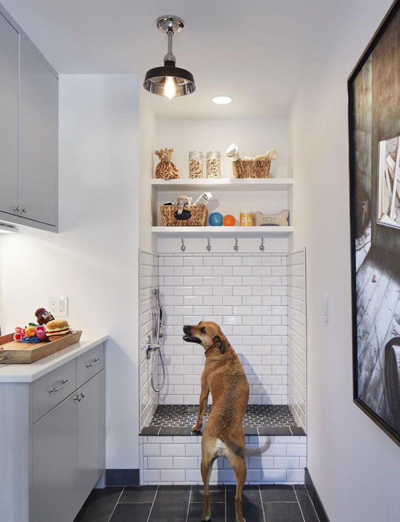 5 Benefits Of Having A Dog Wash Station In Your Home
