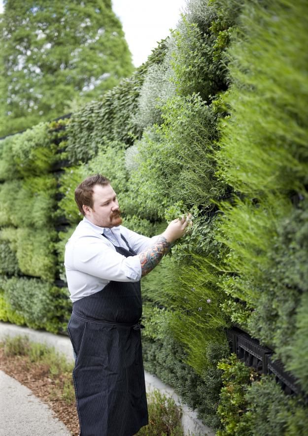 Three New Reasons to Visit the Atlanta Botanical Garden - Gallery - Garden Design