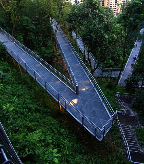ALEXANDRA ARCH / FOREST WALK