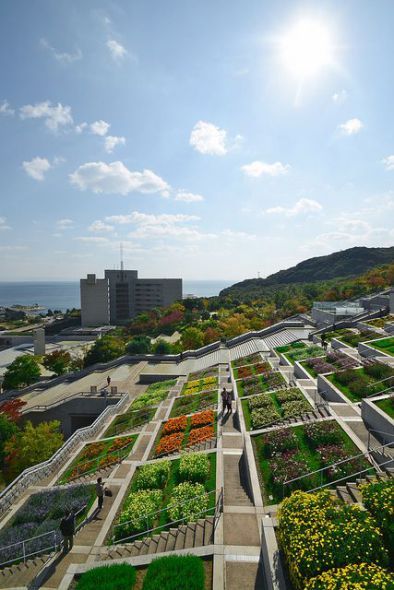 El jardín de los 100 escalones de Tadao Ando