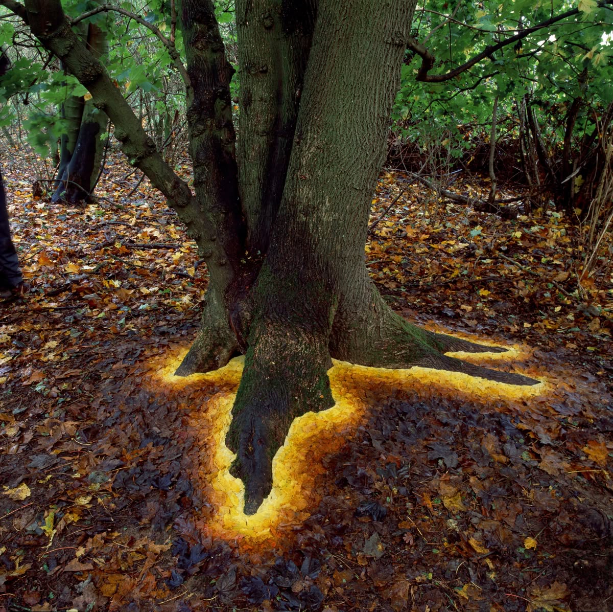 Andy Goldsworthy: Natural Man