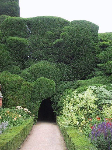 80 Must-See Garden Pictures That Inspire | Worthminer