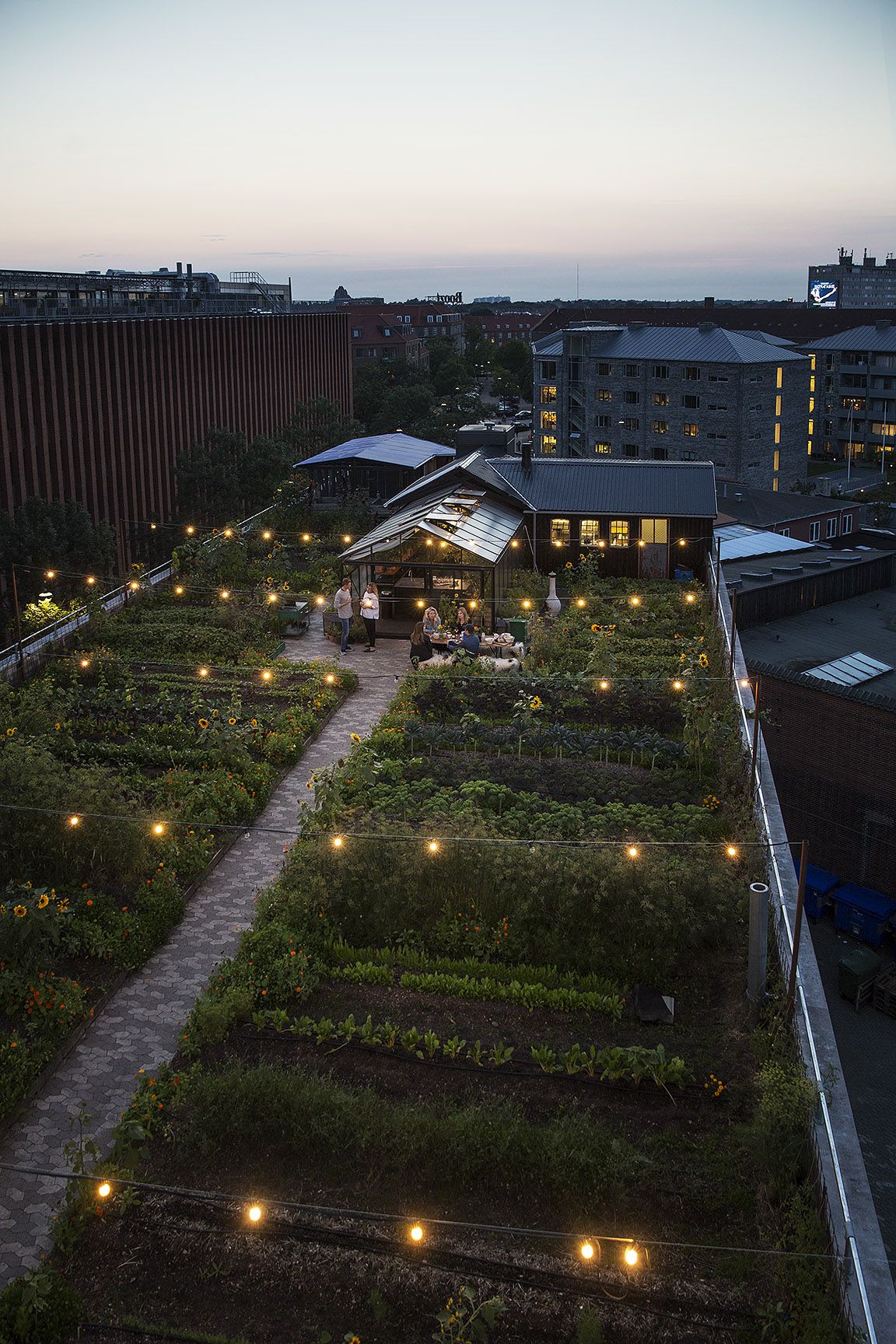 Gro spiseri - Communal eatery at the rooftop farm ØsterGro