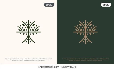 Olive Tree Vector Line Icon Nature Stock Vector (Royalty Free) 1825948973 | Shutterstock
