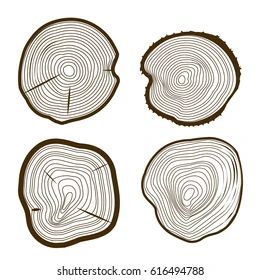 Tree Rings Set Saw Cut Trunk Stock Vector (Royalty Free) 616494788 | Shutterstock