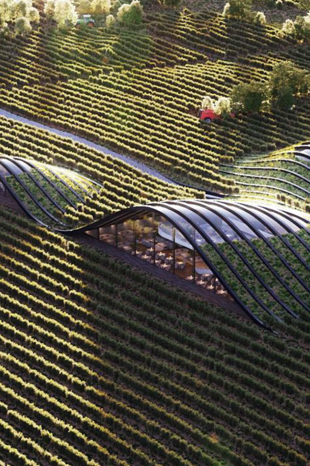 ... by design | wine country landscape | eco-friendly