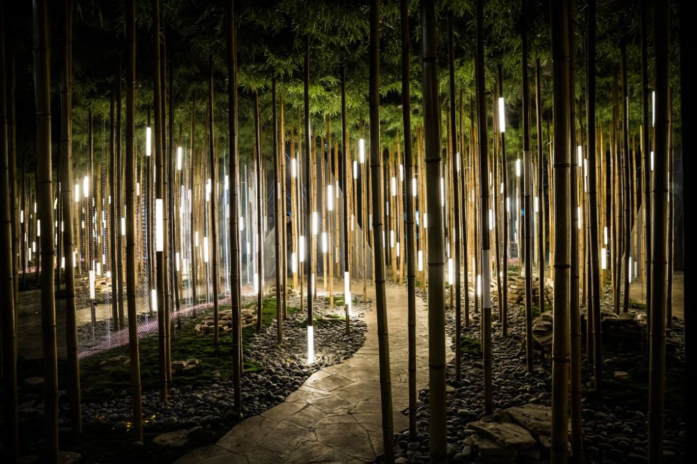 Bamboo Grove - Freak Fabrique