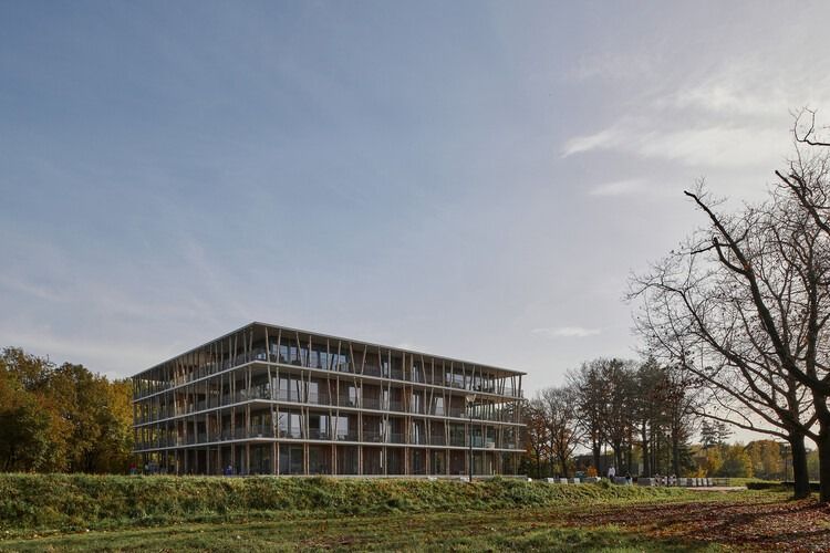 Exploring Timber and Glass in 11 Contemporary Architectural Designs